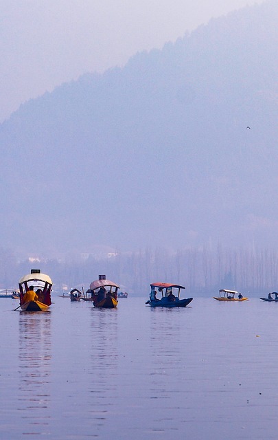 Five days for Families in Kashmir 